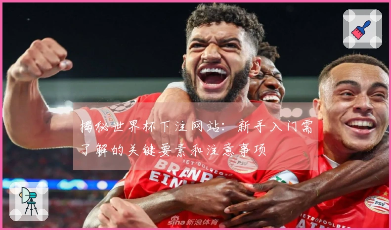 揭秘世界杯下注网站：新手入门需了解的关键要素和注意事项